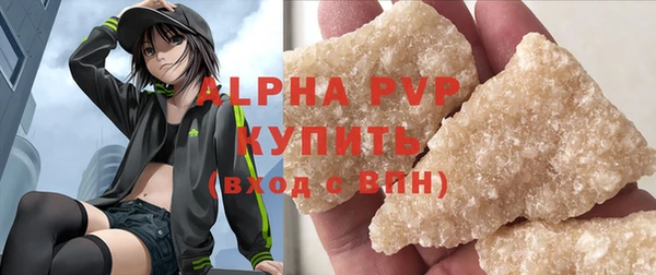 apvp Вяземский