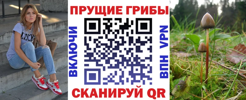 Псилоцибиновые грибы GOLDEN TEACHER Краснослободск